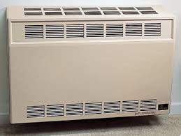 Empire 25,000 BTU Direct Vent LP Furnace