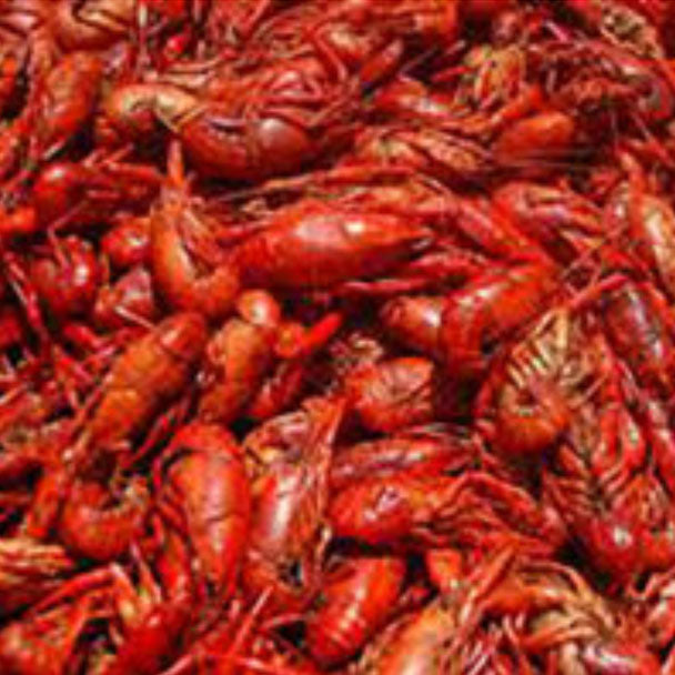 Crawfish Scented Fish Attractant